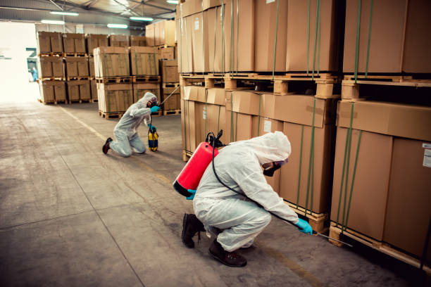 Best Local Pest Control Services  in Sterlington, LA
