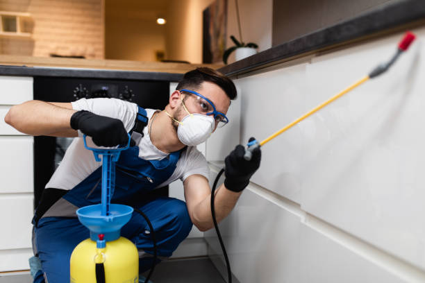 Best Exterminator Services  in Sterlington, LA