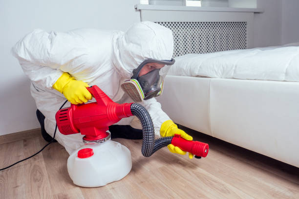 Best Pest Control Treatment  in Sterlington, LA