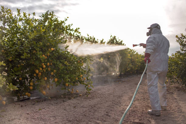 Best Mosquito Control Services  in Sterlington, LA