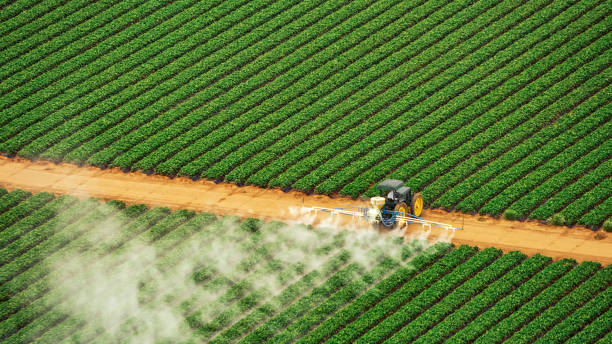 Professional Pest Control in Sterlington, LA