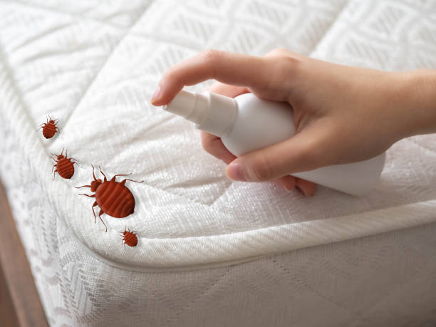 Best Residential Pest Control  in Sterlington, LA
