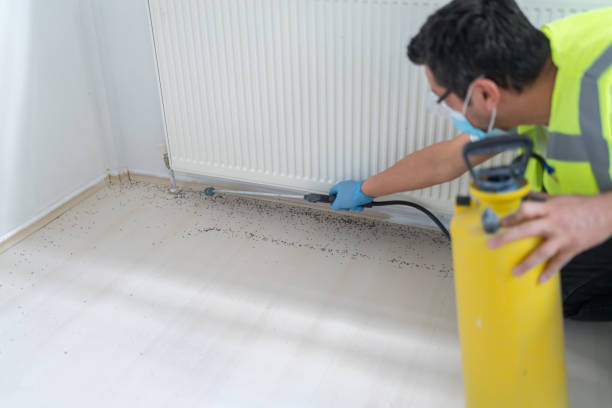 Best Pest Control Cost  in Sterlington, LA