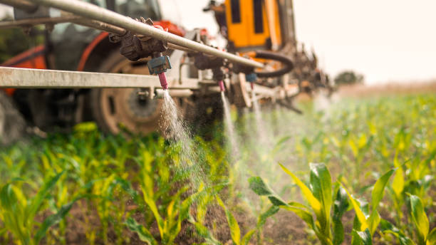 Best Ant Control Services  in Sterlington, LA